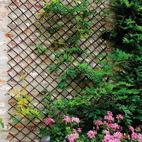 Expandable Willow Trellis with Plants